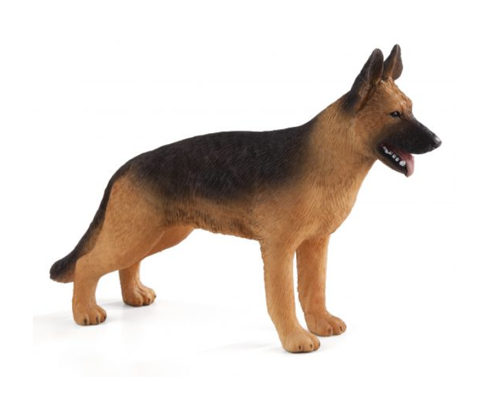 سگ ژرمن شپر موجو German Shepherd 387260